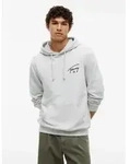 Tommy Jeans Kapuzensweatshirt REGULAR ENTRY SIGNATURE HOOD Regular fit mit Kapuze