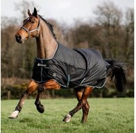 Bucas Pferde-Regendecke Bucas Anniversary Turnout Light SD 0g
