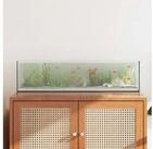 vidaXL Aquarium, Aquarium mit Speicher Transparent 80 x 20 x 20 cm Glas