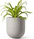 LuxusKollektion Blumentopf Blumentopf Keramik &Uuml;bertopf Ablaufloch Gummistopfen