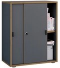VCM Aktenschrank Salia Aktenschrank B. 60 x T. 37 x H. 74 cm 2 T&uuml;ren, 2...