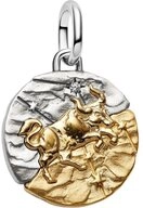 Pandora Charm Sternzeichen 764986C01, Sternzeichen, Stier, Zirkonia, Bicolor