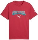 PUMA T-Shirt PUMA FPF Portugal FtblCulture T-Shirt Baumwolle