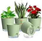 LuxusKollektion Blumentopf Selbstbew&auml;sserungstopf 5er Set Kunststoff Gr&uuml;n &Oslash;...