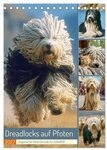 CALVENDO Wandkalender Dreadlocks auf Pfoten. Ungarische Hirtenhunde im...