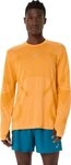 Asics Laufshirt ROAD SEAMLESS LS TOP gr&uuml;n S (46)