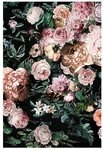 Bild KOMAR "Charming Wild", bunt (farbe bild(er): bunt), B:30cm H:40cm, Holz,...