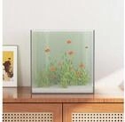 vidaXL Aquarium, Aquarium mit Speicher Transparent 30 x 30 x 30 cm Glas