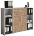 BMG M&ouml;bel Aktenschrank Office Edition (Set 13, B&uuml;roschrank mit Metallgriffen)...