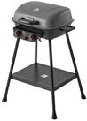 Royal Gourmet Gasgrill 2- Brenner Gasgrill, 5 kW Standrrill, Grillwagen f&uuml;r...