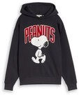 TOM TAILOR Kapuzensweatshirt mit Peanut-Print / f&uuml;r boys