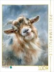 CALVENDO Puzzle CALVENDO Puzzle Goat, a gentle smile that touches the heart,...