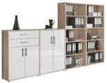 BMG M&ouml;bel Aktenschrank Office Edition (Schrankwand Set 21, 1x...