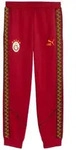 PUMA Jogginghose PUMA Galatasaray Istanbul KING Anthem Hose rot S