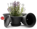 BigDean Blumentopf 4 St&uuml;ck Pflanzk&uuml;bel mit Untersetzer rund &oslash; 25 cm Anthrazit
