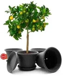 BigDean Blumentopf 4 St&uuml;ck Pflanzk&uuml;bel mit Untersetzer rund &oslash; 35 cm Anthrazit