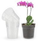 LuxusKollektion Blumentopf Orchideent&ouml;pfe transparent 6 St&uuml;ck 11,5 cm mit