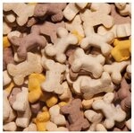 Nobby StarSnack Cookies Puppy, Snack f&uuml;r: Hund