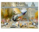 CALVENDO Wandkalender Tauben. Urbane Lebensk&uuml;nstler (Wandkalender 2027 DIN A2 quer),