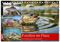 CALVENDO Wandkalender Forellen im Fluss (Tischkalender 2027 DIN A5 quer), CALVENDO