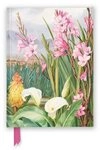 Notizbuch Premium Notizbuch DIN A5: Marianne North, Prachtexemplare in den...