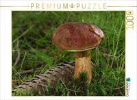 CALVENDO Puzzle CALVENDO Puzzle Chestnut bolete (Imleria badia), 1000 pieces,