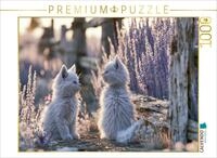 CALVENDO Puzzle CALVENDO Puzzle Discovering Little Wonders, 1000 pieces,...