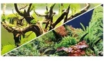 HOBBY Aquarienr&uuml;ckwand Fotor&uuml;ckwand Green Secret / Wood Island, 120 x 50 cm