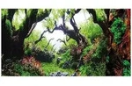 HOBBY Aquarienr&uuml;ckwand Fotor&uuml;ckwand f&uuml;r Aquarien Green Dream / Wooden Sky -...