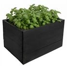 Creative Deco Holzkiste Natur Holzkiste ohne Schlitzen Kiste Holz Geschliffen