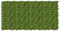 vidaXL Balkonsichtschutz Balkonsichtschutz mit Bl&auml;ttern Gr&uuml;n und Gelb 200 x...