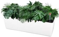 LuxusKollektion Blumentopf Blumentopf Selbstbew&auml;sserung Wasserspeicher wei&szlig; x1