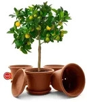 BigDean Blumentopf 4 St&uuml;ck Pflanzk&uuml;bel mit Untersetzer rund &oslash; 35 cm...