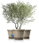 BigDean Blumentopf 3x Pflanzk&uuml;bel mit Untersetzer rund &oslash;50xH38 cm Mokka/braun...