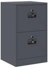 vidaXL Aktenschrank 45,5 x 42 x 74,5 cm Aktenschrank Anthrazit 44x50x106,5 cm