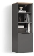 Livinity&reg; Aktenschrank Piave, Anthrazit/Sonoma, mit einer T&uuml;r (1-St)