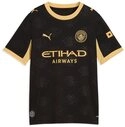 PUMA Fu&szlig;balltrikot PUMA Premier League