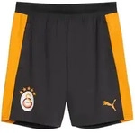 PUMA Sporthose PUMA Galatasaray Istanbul Training Short grau S