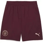 PUMA Sporthose MCFC Shorts Replica rot L