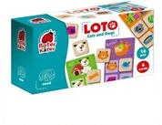 K&auml;fer Spiel Lernspiel Lotto Katzen und Hunde