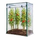 Mojawo Gew&auml;chshaus Tomatengew&auml;chshaus Fr&uuml;hbeet Foliengew&auml;chshaus...
