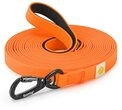 lionto Schleppleine strapazierf&auml;hig & wasserdicht, Nylon/PVC (mit