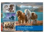 CALVENDO Wandkalender Islandpferde (Wandkalender 2027 DIN A2 quer), CALVENDO