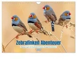 CALVENDO Wandkalender Zebrafinken Abenteuer (Wandkalender 2027 DIN A4 quer),...