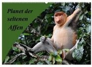 Tiere Wandkalender Planet der seltenen Affen (Wandkalender 2026 DIN A2 quer),