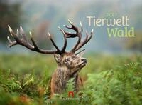 Ackermann Wandkalender Tierwelt Wald Kalender 2027