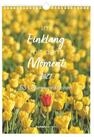 NEUMANN Wandkalender Im Einklang mit dem Moment - 53 Lebensweisheiten 2027