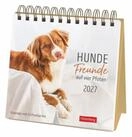 Harenberg Kalender Verlag Tierkalender Hunde Premium-Postkartenkalender 2027 -
