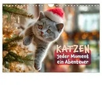 CALVENDO Wandkalender Katzen - Jeder Moment ein Abenteuer (Wandkalender 2027...