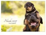 CALVENDO Wandkalender Hunde 2027 - Treue Begleiter (Wandkalender 2027 DIN A2...